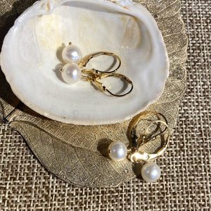 Single Freshwater Pearl Earrings