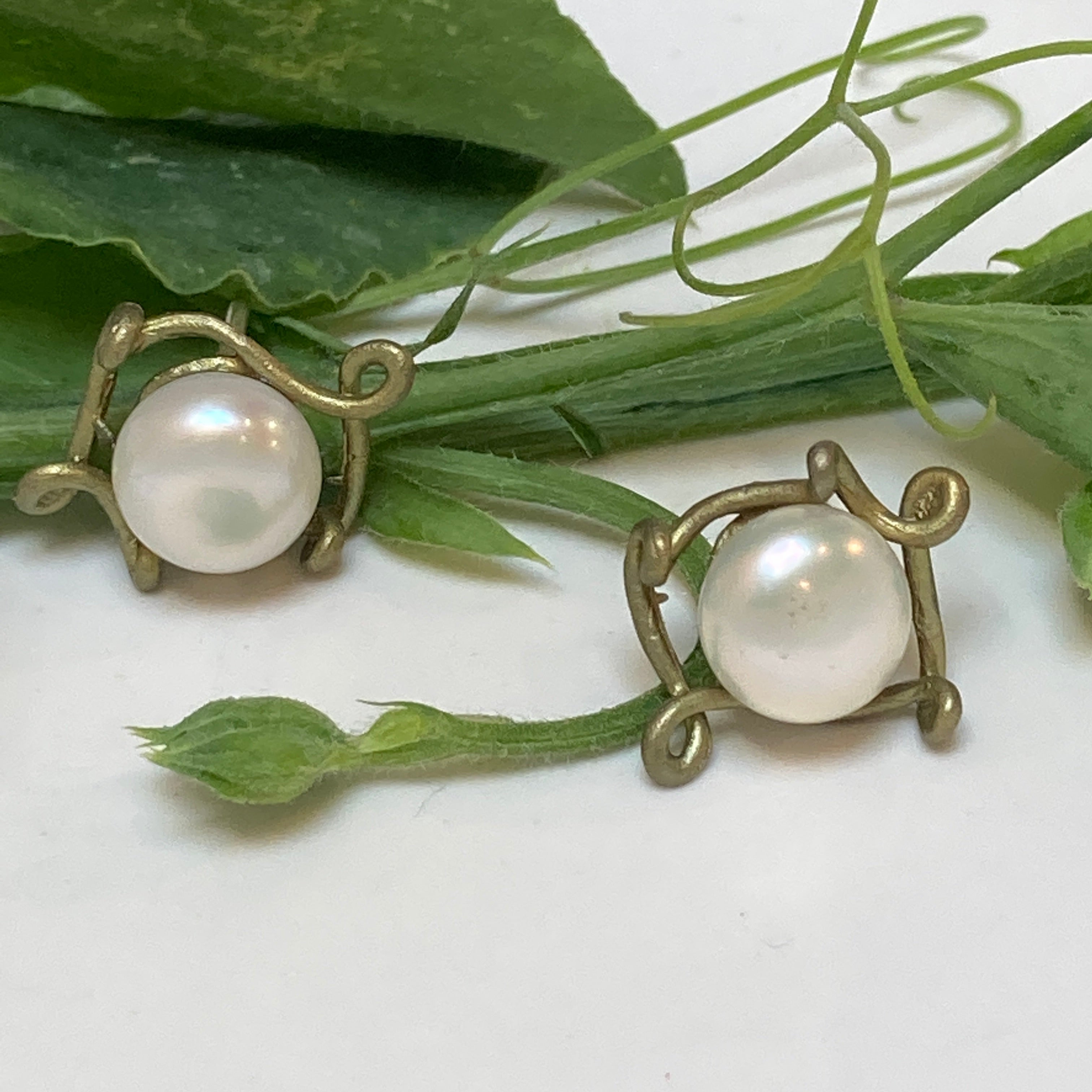 Peapod Necklace & Earrings