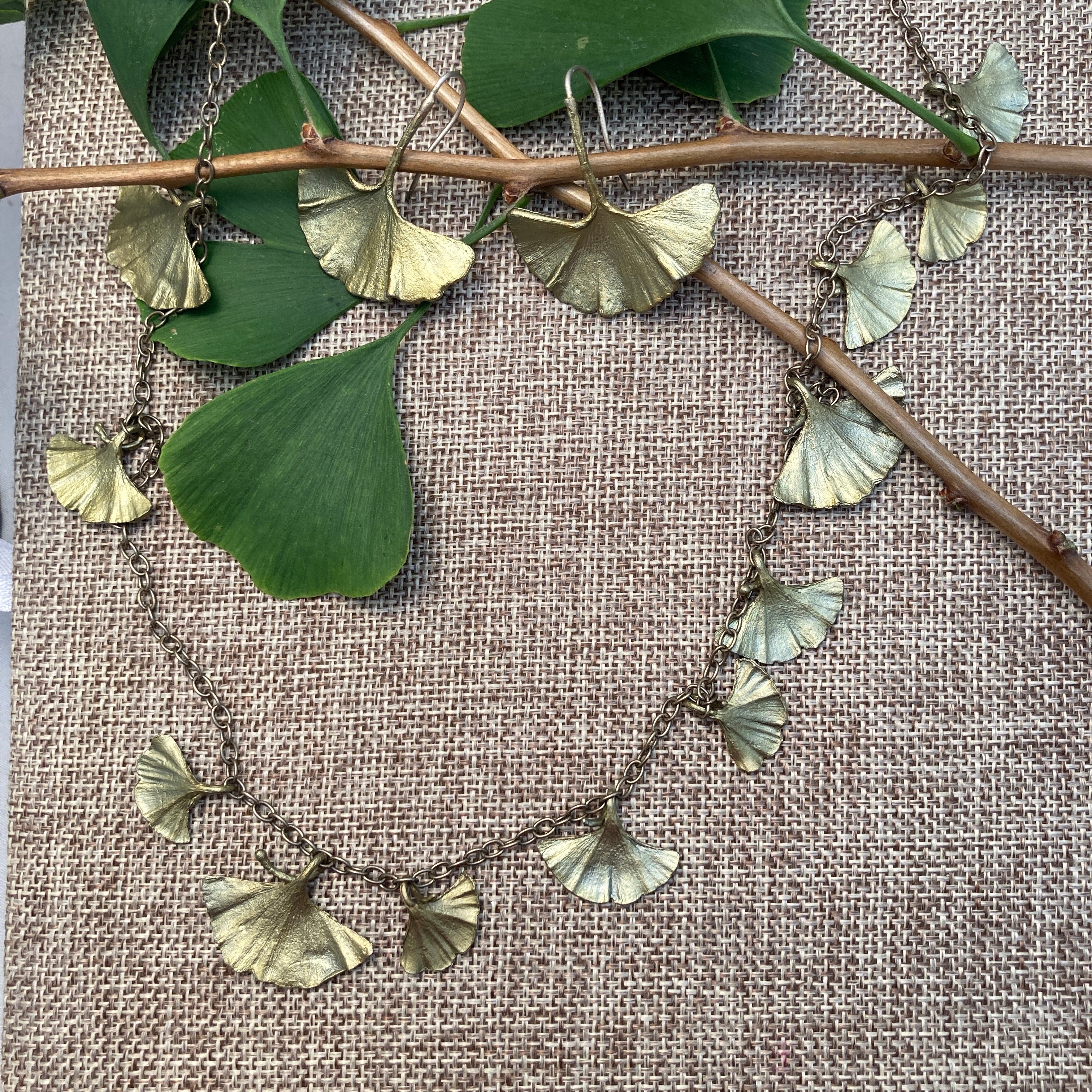 Long Ginkgo